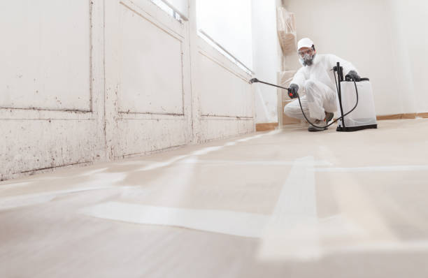 24/7 Emergency Mold Cleanup experts in Naples, FL